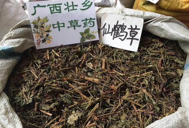 仙鹤草的功效作用(龙芽草介绍)图4