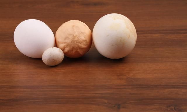 鸽子蛋的营养价值及功效，如何吃鸽蛋更有营养图1