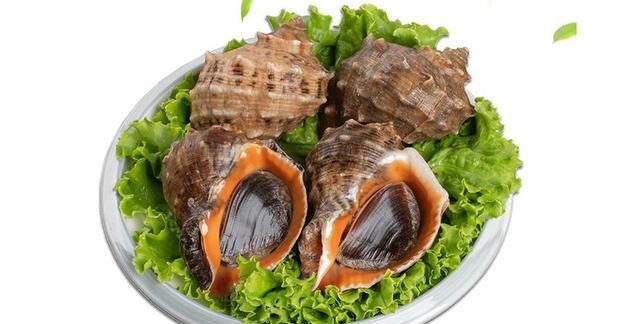 大海螺的正确吃法和做法，如何鉴别鲜活海螺图1