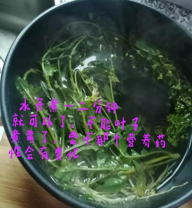 荠菜水有什么功效作用（荠菜的好处）图6