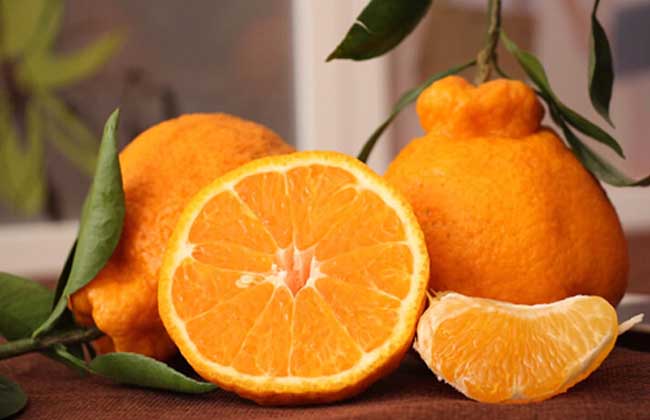 丑橘的营养价值和功效与作用，食用禁忌事项图2