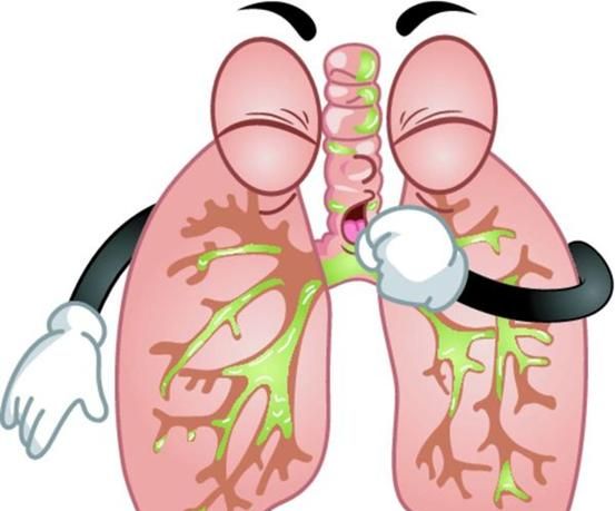 草果的功效与作用:草果泡酒草果泡酒有什么功效图3