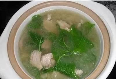 桑叶的功效与作用及食用方法:桑叶怎么吃治什么病图6