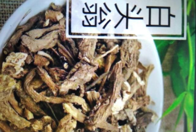 白头翁的功效与作用：白头翁有什么药用功效图2