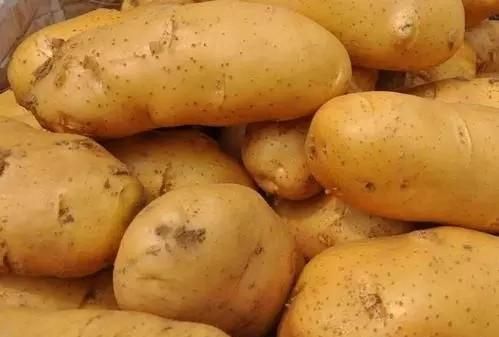 土豆越来越大和使用膨大剂有没有关系，可以吃吗？图5