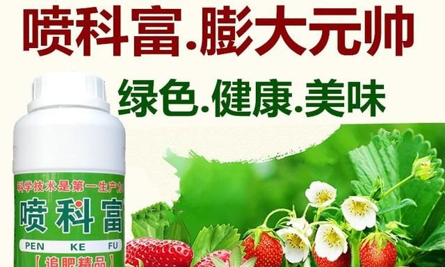 土豆越来越大和使用膨大剂有没有关系，可以吃吗？图8