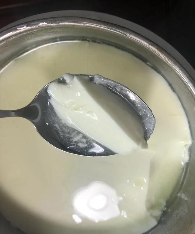 家用酸奶发酵剂:自做酸奶，牛奶和酸奶发酵剂的比例是多少图5
