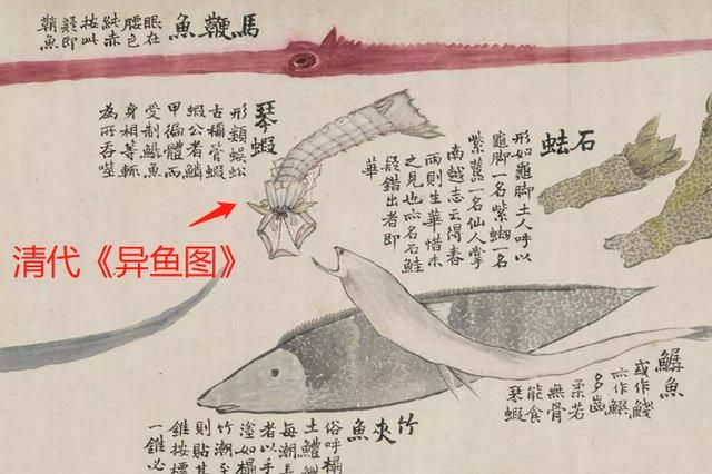 虾爬子的做法，虾爬子都怎么做，才能又鲜又香呢图2