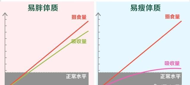 不反弹的减肥方法,哪种方法能快速减肥又不反弹呢图3