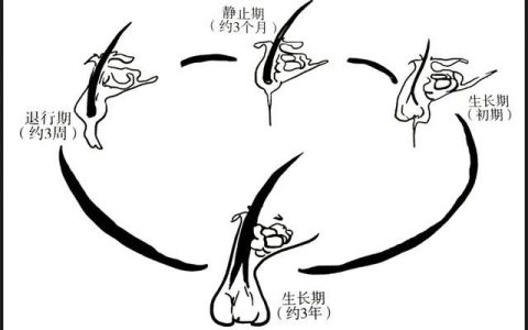 哪里激光脱毛好,激光脱毛效果好
