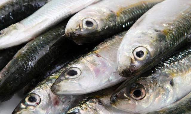 沙丁鱼的做法，沙丁魚怎样炖图1