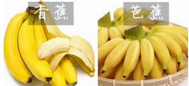 扒皮香蕉,香蕉和芭蕉形态相近，营养价值却相距甚远，如何区分它们图1