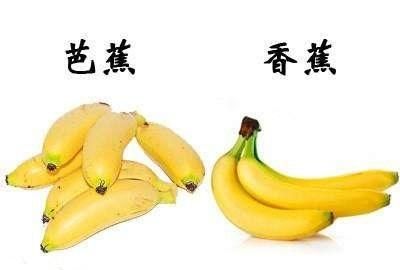 扒皮香蕉,香蕉和芭蕉形态相近，营养价值却相距甚远，如何区分它们图3