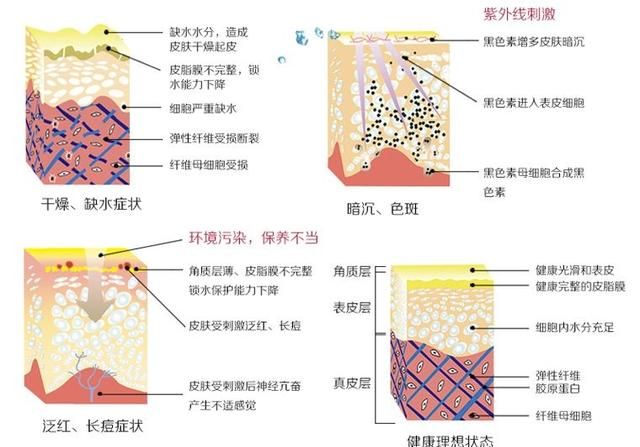 水光针的主要功效和副作用:水光针效果真的好图2