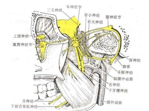 面瘫饮食，面瘫禁止吃什么食物图2