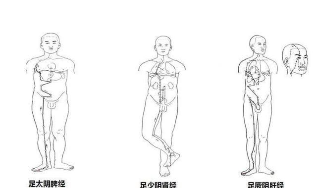 大腿推是什么:腿的经络从下往上推和从上往下推有什么不同图1