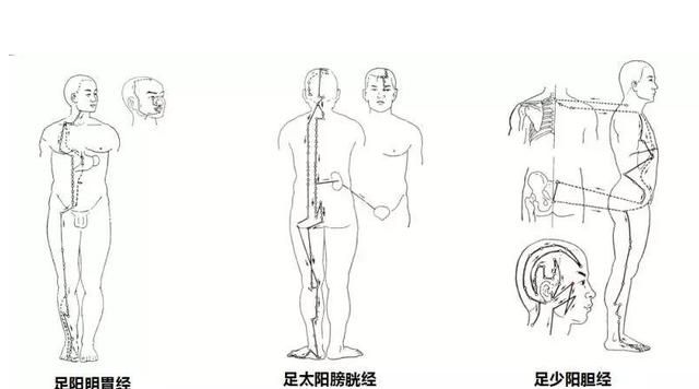 大腿推是什么:腿的经络从下往上推和从上往下推有什么不同图2