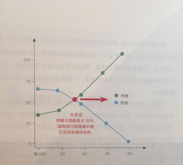 跑步瘦身:怎样跑步最减肥图1