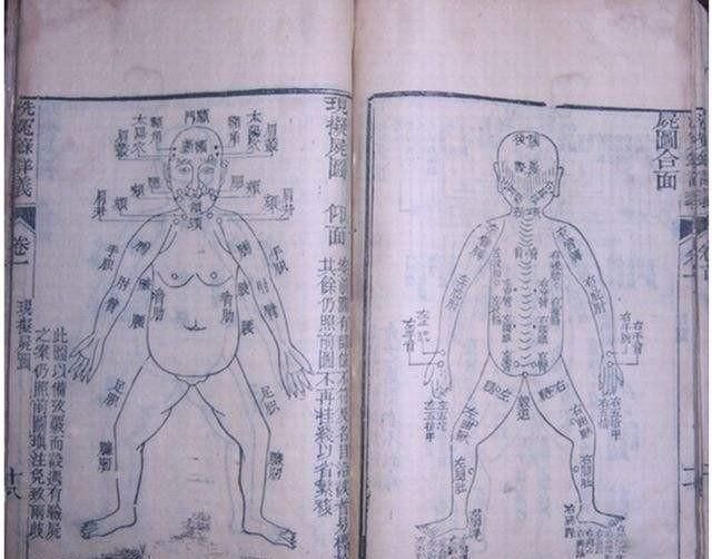 人体内部构造图,古代没有解剖学，中医是如何知道人的五脏六腑的图1