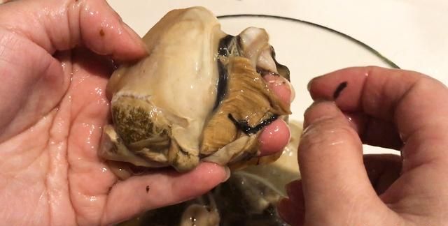 河蚌的做法视频：河蚌怎么做菜简单还好吃图19