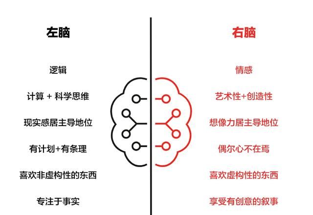 右脑型的人是什么样的人：有人说，用右脑的人比用左脑的人聪明，这个说法正确吗你怎么看图2