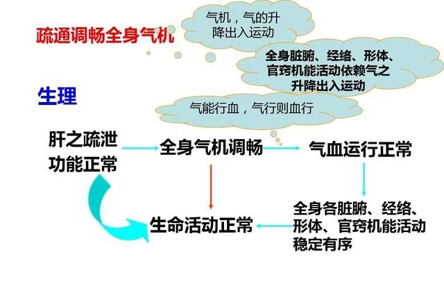 玫瑰花的功效，玫瑰花有哪些功效图2