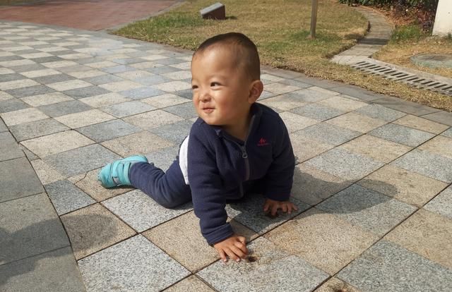 粥的做法大全：幼儿营养粥的做法有哪些图9