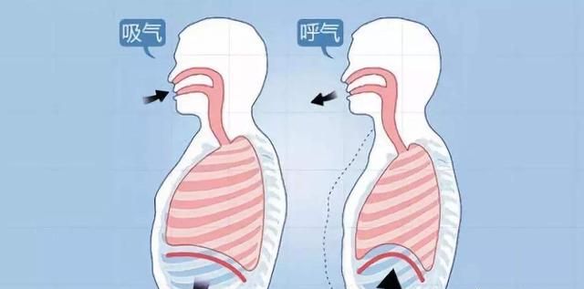 横膈膜呼吸法：瑜伽呼吸为何如此重要图2