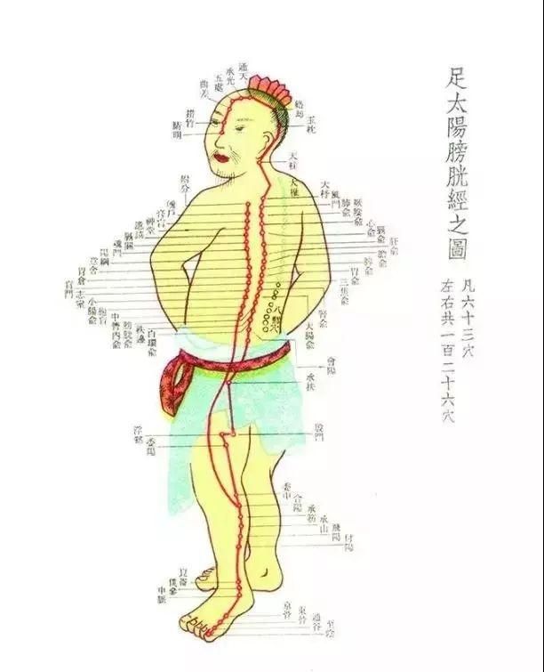 腿太粗怎么减:腿粗怎么减图7