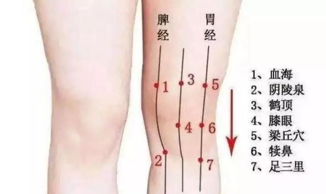 腿太粗怎么减:腿粗怎么减图10