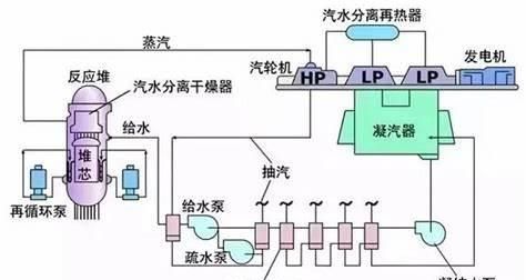 核的危害，核电站核反应堆爆炸会对人体以及生态带来怎样的危害图1