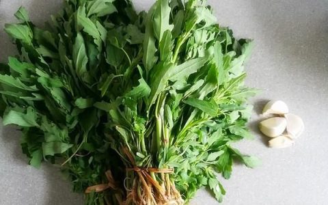 灰灰菜的吃法：灰灰菜的做法
