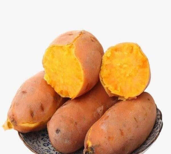 冬天吃什么,冬天一定得要吃什么图4