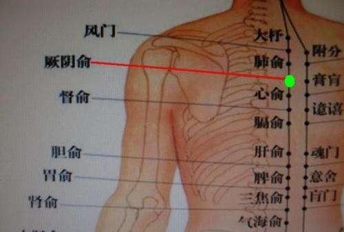 厥阴头痛，厥阴头痛是什么原因引起的图2