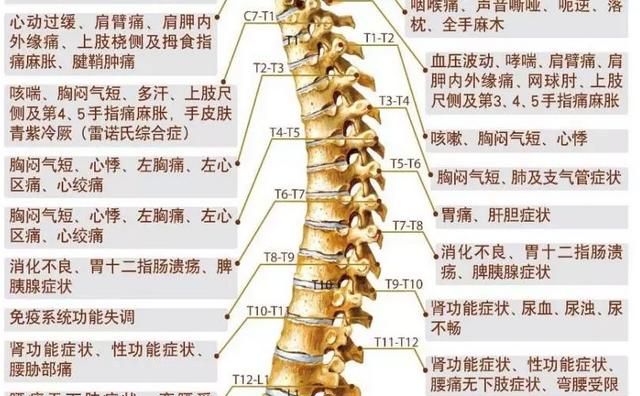 壮阳按摩,按摩哪些穴位可以养肾图9