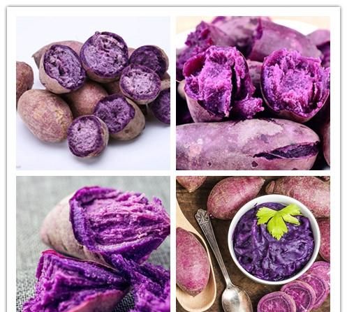 紫薯的营养价值,紫薯和红薯的区别什么哪个营养价值更高图2