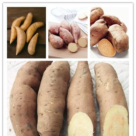紫薯的营养价值,紫薯和红薯的区别什么哪个营养价值更高图3