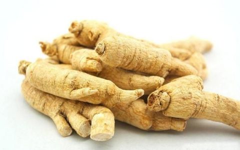 花旗参的功效，西洋参的功效与作用，如何食用治病