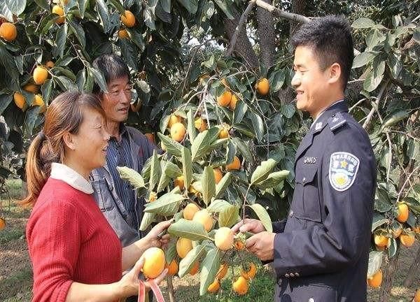 柿饼怎么做的方法家庭做法,柿饼是怎么做出来的，你喜欢吃吗图3