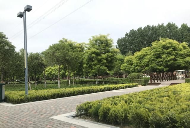 怎样在短时间内减肥：控制饮食适当运动达不到减肥效果，怎样对身体伤害小，且短时间内又能减肥的方法呢图32