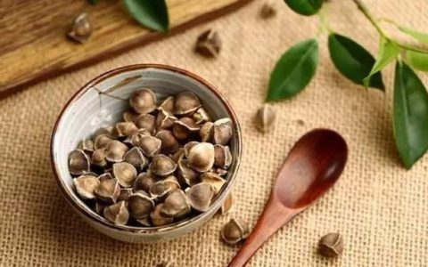 辣木籽有什么功效