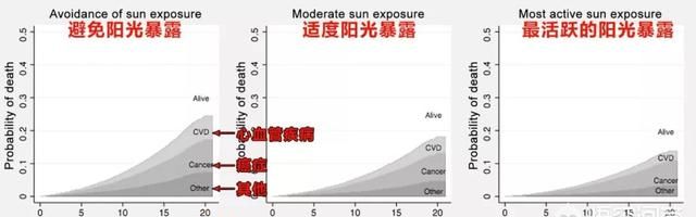 晒太阳有什么好处 :晒太阳有什么好处为什么图4