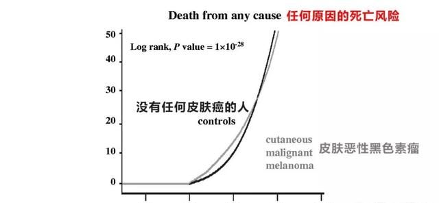 晒太阳有什么好处 :晒太阳有什么好处为什么图5