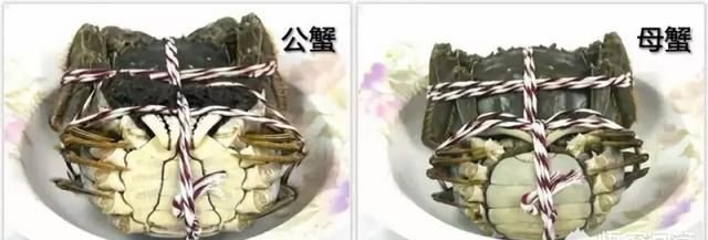 大闸蟹做法,大闸蟹的做法图1