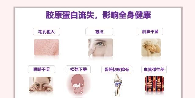 胶原蛋白的功效与作用，胶原蛋白肽的功效与作用有哪些图1
