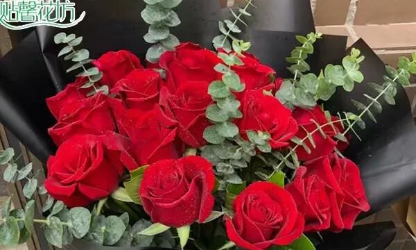 西方的情人节送玫瑰🌹，我国的“七夕”情人节送什么花好呢图1