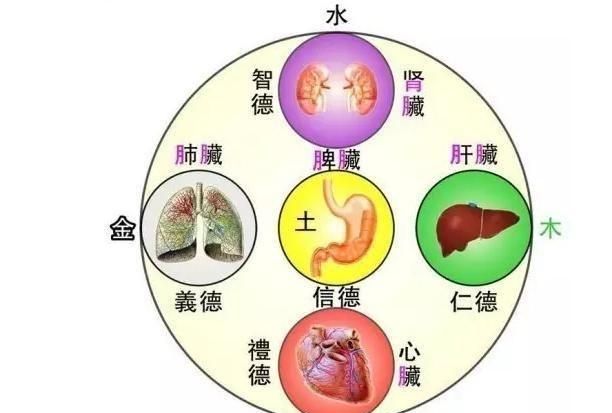 如果你突然打通了任督二脉，变得智商超高体质超强，你会做些什么图3