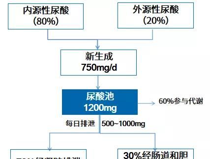 尿酸高不能吃什么食物一览表图3