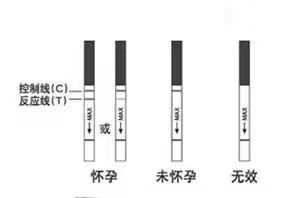 用试孕纸多少天能试出来图2