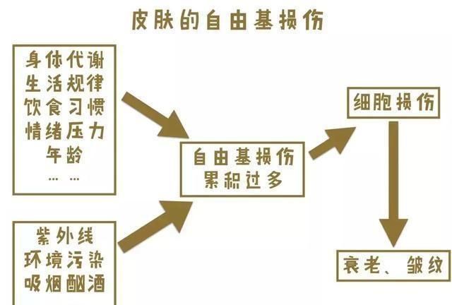 改善皮肤，如何快速改善皮肤状态图6